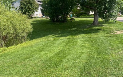 Photo of Mindy T.'s yard after getting lawn care in Golden Valley, MN