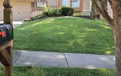 Photo of Eva S.'s yard after getting lawn care in Pleasant Hill, MO