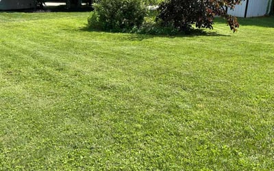 Photo of Dia S.'s yard after getting lawn care in Madison, OH