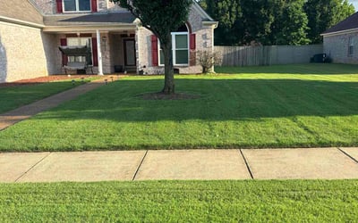 Photo of Wade G.'s yard after getting lawn care in Bartlett, TN