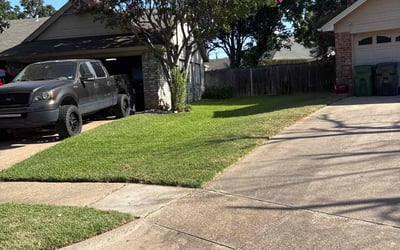 Photo of Laurie C.'s yard after getting lawn care in Houston, TX