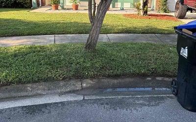 Photo of Vincent O.'s yard after getting lawn care in Clifton, NJ