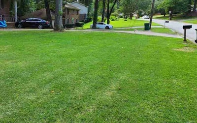 Photo of Beverly D.'s yard after getting lawn care in Hot Springs, AR