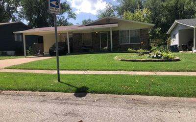 Photo of Mary M.'s yard after getting lawn care in Helotes, TX