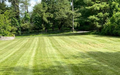 Photo of Rachael S.'s yard after getting lawn care in New Canaan, CT