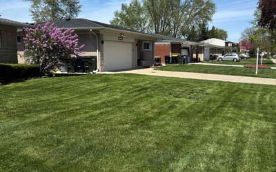 Photo of Chris H.'s yard after getting lawn care in Mcdonough, GA