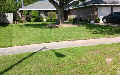 Photo of Ann M.'s yard after getting lawn care in Wake Forest, NC