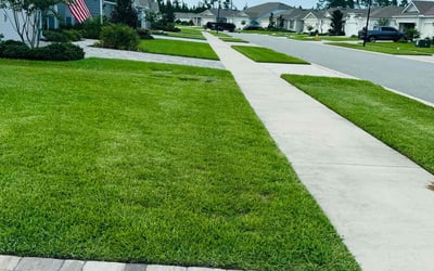 Photo of Stanley E.'s yard after getting lawn care in Elkton, MD