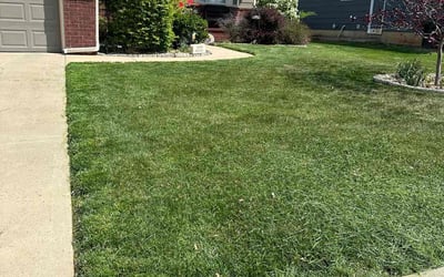 Photo of Brenda C.'s yard after getting lawn care in Haysville, KS