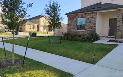 Photo of Rose F.'s yard after getting lawn care in Flagler Beach, FL
