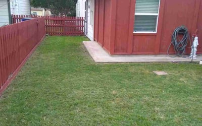 Photo of Haley W.'s yard after getting lawn care in Lakeside, CA