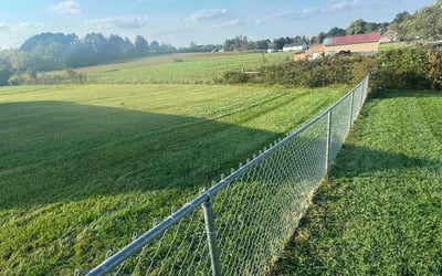 Photo of Bea D.'s yard after getting lawn care in Portland, TN