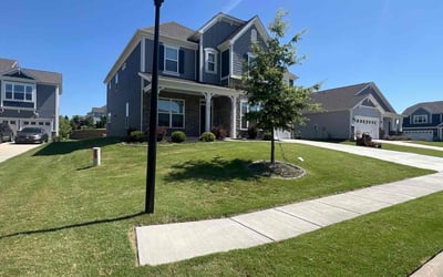 Photo of Sandra M.'s yard after getting lawn care in Great Falls, SC