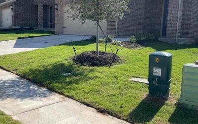 Photo of Brett H.'s yard after getting lawn care in Princeton, TX