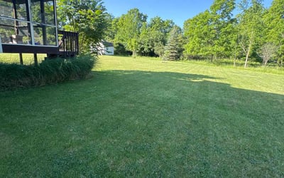 Photo of Karen B.'s yard after getting lawn care in Hopewell, VA
