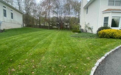 Photo of Nancy C.'s yard after getting lawn care in Newton, NJ