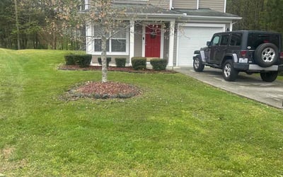 Photo of Cheryl C.'s yard after getting lawn care in Oshkosh, WI