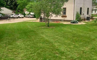 Photo of Ashley S.'s yard after getting lawn care in New Brighton, MN
