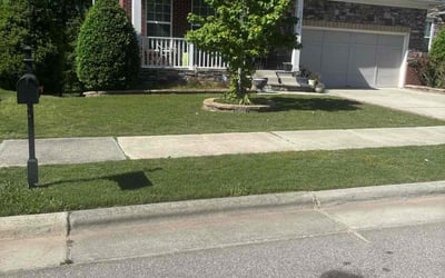 Photo of Louis P.'s yard after getting tree care in Holly Springs, NC