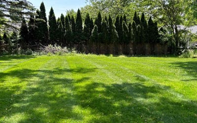 Photo of Ronald J.'s yard after getting lawn care in Grand Rapids, MI