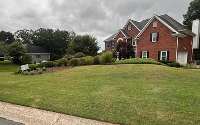 Photo of Carol V.'s yard after getting lawn care in Suwanee, GA