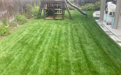 Photo of Doreen F.'s yard after getting lawn care in Mchenry, IL