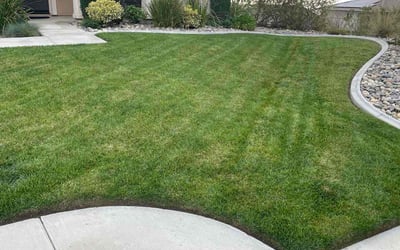 Photo of Serafin C.'s yard after getting lawn care in Highland, CA