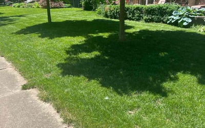 Photo of James C.'s yard after getting lawn care in Newburgh, IN