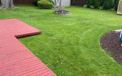 Photo of Donald T.'s yard after getting lawn care in New Baltimore, MI
