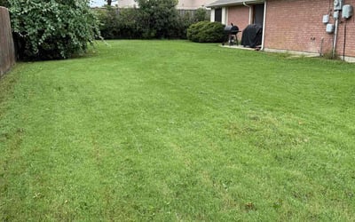 Photo of Varun B.'s yard after getting lawn care in Edison, NJ