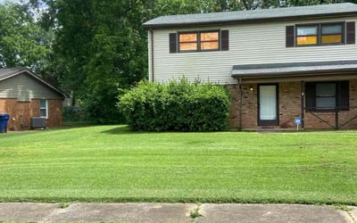 Photo of Damien B.'s yard after getting lawn care in Huntsville, AL