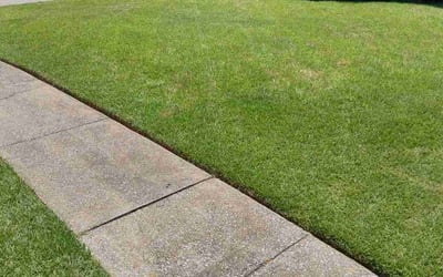 Photo of Evelyne N.'s yard after getting lawn care in Montevallo, AL