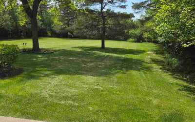 Photo of Savannah J.'s yard after getting lawn care in Clemmons, NC