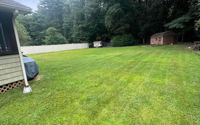 Photo of Cindy D.'s yard after getting lawn care in Hudson, MA
