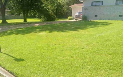 Photo of Lizzie T.'s yard after getting lawn care in Jackson, MS