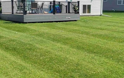 Photo of Troy B.'s yard after getting lawn care in Boerne, TX