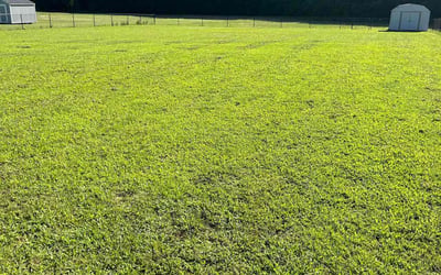 Photo of Blake W.'s yard after getting lawn care in Smithfield, NC