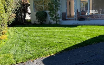 Photo of Marsha G.'s yard after getting lawn care in Gilroy, CA