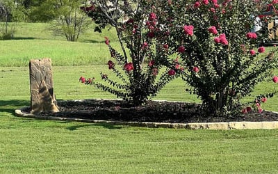 Photo of Celeste H.'s yard after getting lawn care in Compton, CA