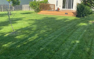 Photo of Jacqueline B.'s yard after getting lawn care in Winter Garden, FL
