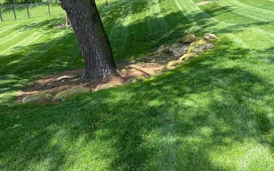Photo of Ashlynne J.'s yard after getting lawn care in Ada, MI
