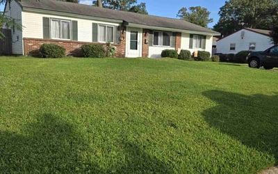 Photo of Julia M.'s yard after getting lawn care in Virginia Beach, VA