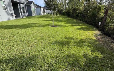 Photo of Jessica D.'s yard after getting lawn care in Titusville, FL