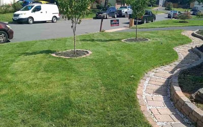 Photo of Nancy D.'s yard after getting lawn care in Sterling, VA