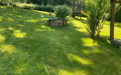 Photo of william m.'s yard after getting lawn care in Sammamish, WA