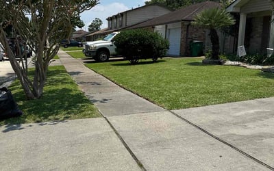 Photo of Joanne L.'s yard after getting lawn care in New York, NY