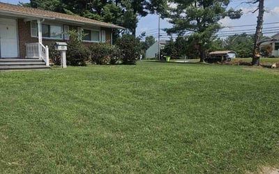 Photo of Wendy M.'s yard after getting lawn care in Edgewood, MD