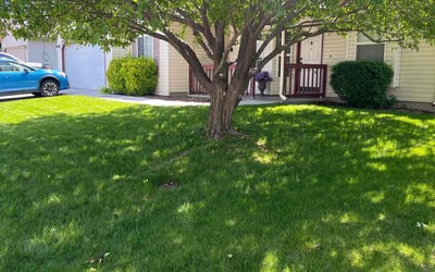 Photo of Erica J.'s yard after getting lawn care in Oklahoma City, OK