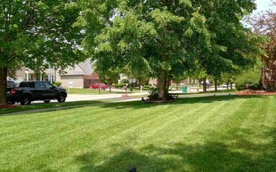 Photo of Kew V.'s yard after getting tree care in Bethesda, MD