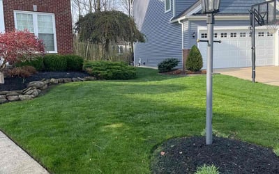 Photo of Tom B.'s yard after getting lawn care in Northfield, OH